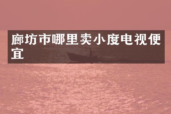 廊坊市哪里卖小度电视便宜