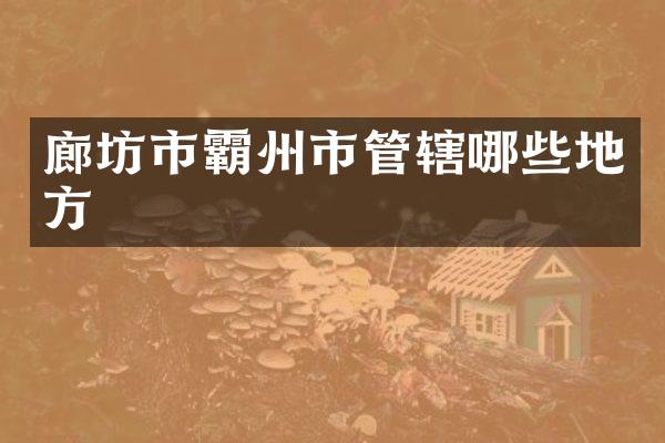 廊坊市霸州市管辖哪些地方