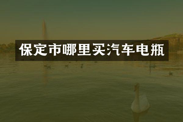 保定市哪里买汽车电瓶