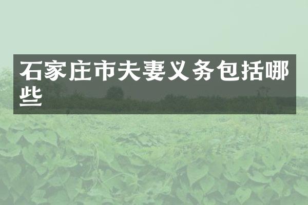 石家庄市夫妻义务包括哪些