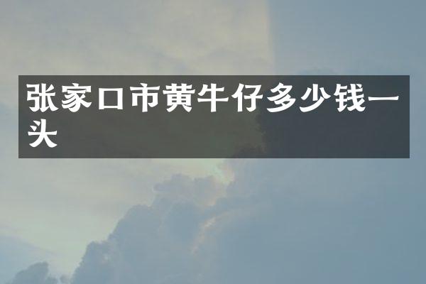张家口市黄牛仔多少钱一头