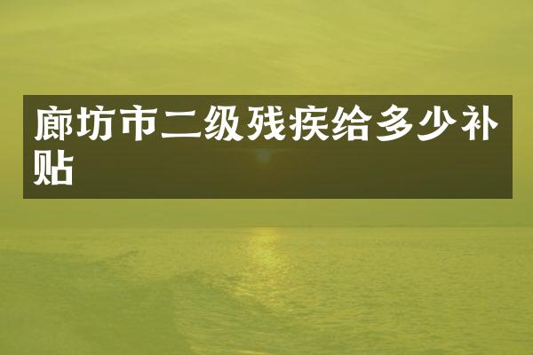 廊坊市二级残疾给多少补贴