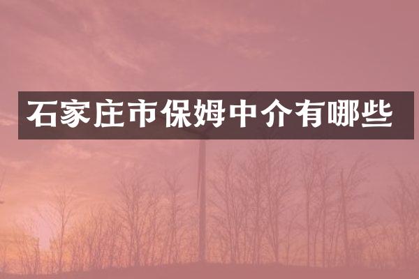 石家庄市保姆中介有哪些