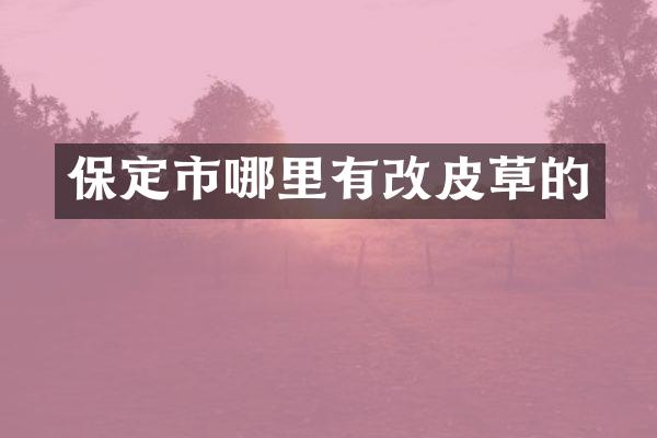 保定市哪里有改皮草的