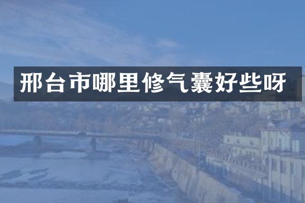 邢台市哪里修气囊好些呀