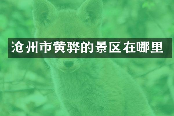 沧州市黄骅的景区在哪里