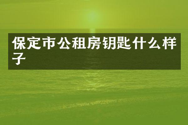 保定市公租房钥匙什么样子