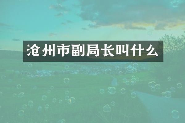沧州市副局长叫什么