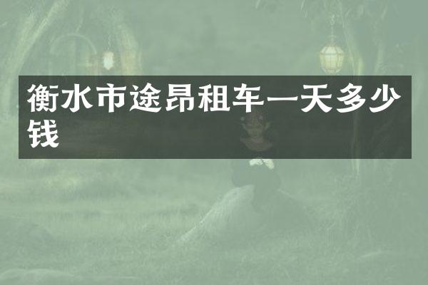 衡水市途昂租车一天多少钱