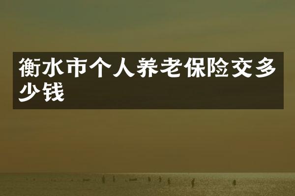 衡水市个人养老保险交多少钱