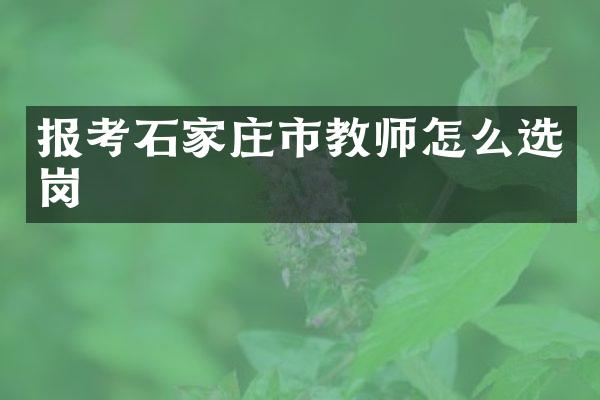 报考石家庄市教师怎么选岗