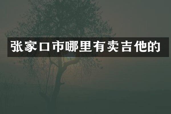 张家口市哪里有卖吉他的