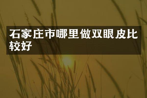 石家庄市哪里做双眼皮比较好