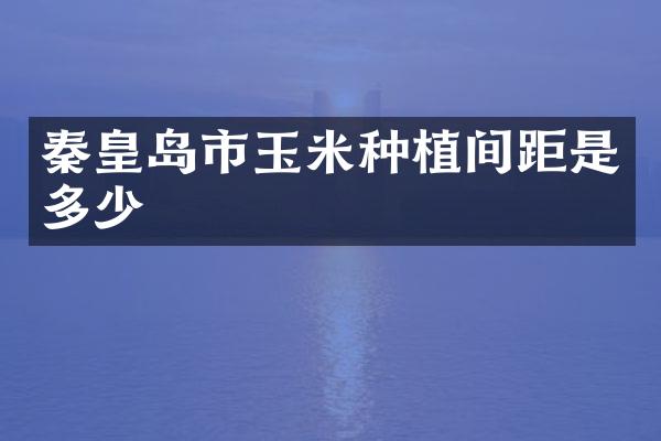 秦皇岛市玉米种植间距是多少