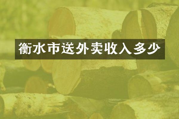 衡水市送外卖收入多少