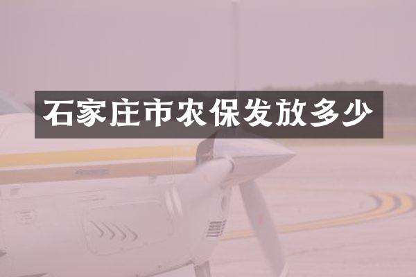 石家庄市农保发放多少
