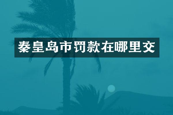 秦皇岛市罚款在哪里交