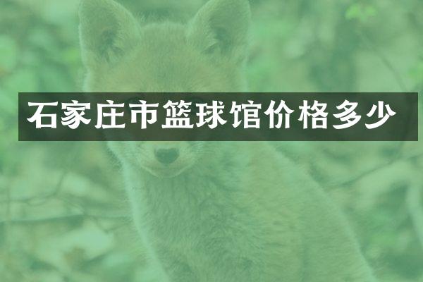 石家庄市篮球馆价格多少