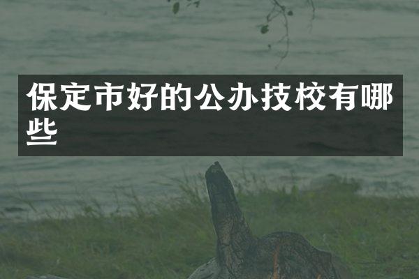 保定市好的公办技校有哪些
