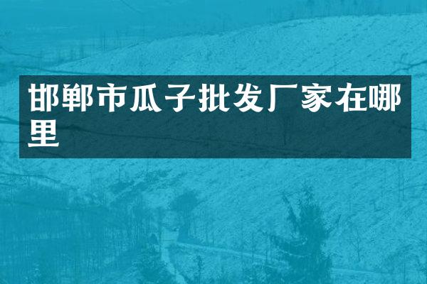 邯郸市瓜子批发厂家在哪里