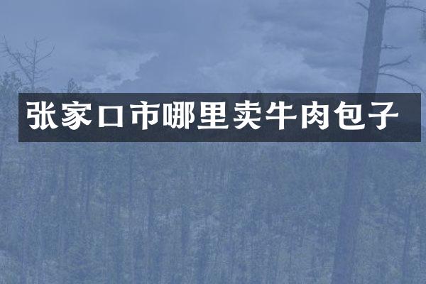 张家口市哪里卖牛肉包子