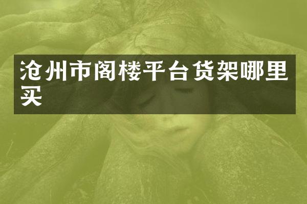 沧州市阁楼平台货架哪里买