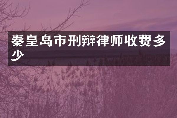 秦皇岛市刑辩律师收费多少