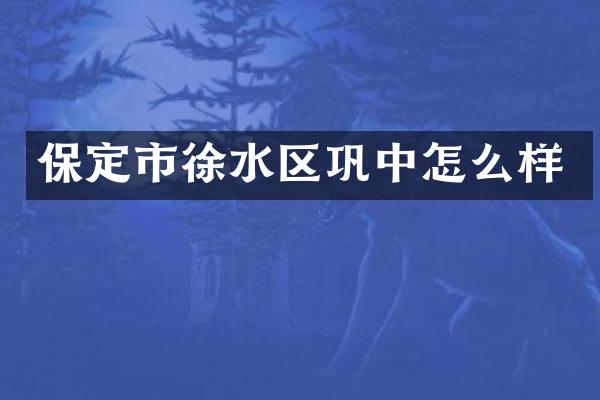 保定市徐水区巩中怎么样