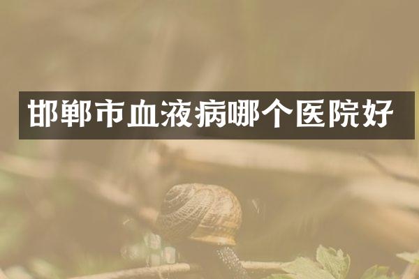 邯郸市血液病哪个医院好