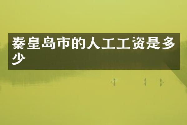 秦皇岛市的人工工资是多少
