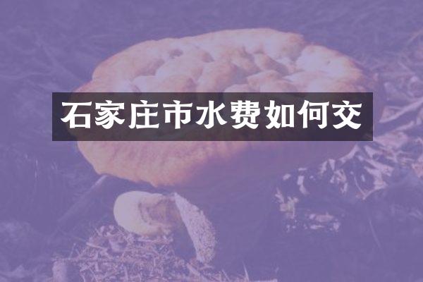 石家庄市水费如何交