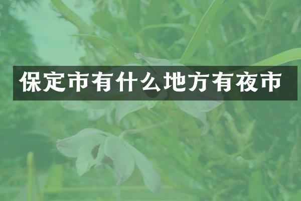 保定市有什么地方有夜市