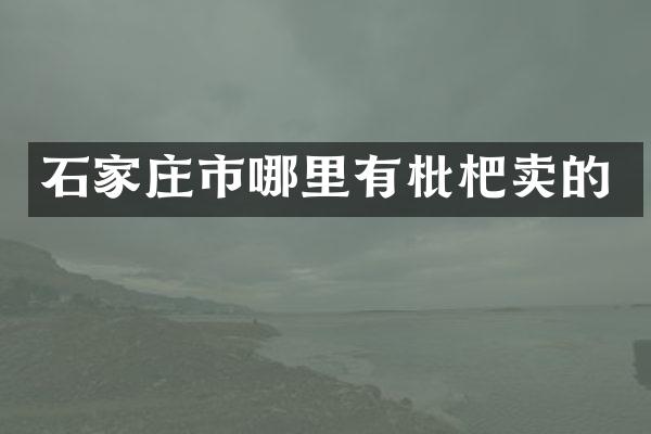 石家庄市哪里有枇杷卖的