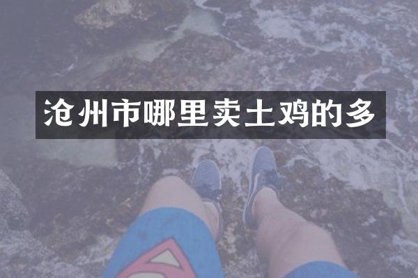沧州市哪里卖土鸡的多