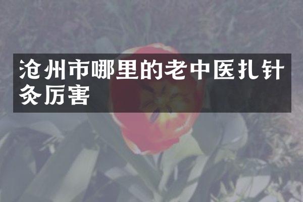 沧州市哪里的老中医扎针灸厉害