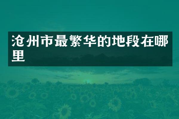 沧州市最繁华的地段在哪里