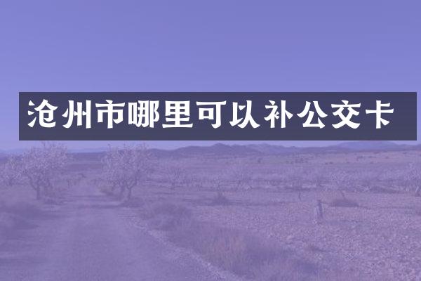 沧州市哪里可以补公交卡