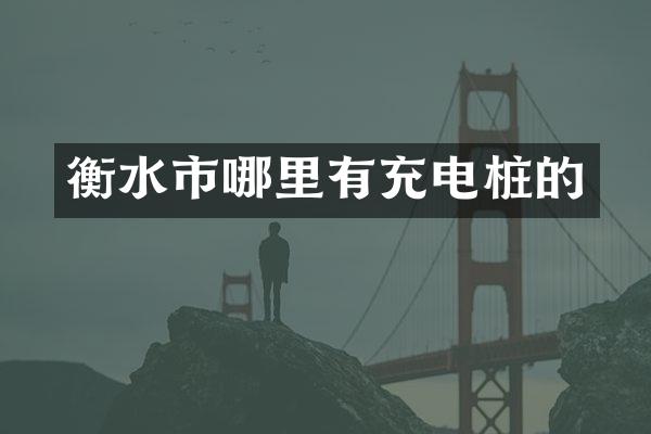 衡水市哪里有充电桩的