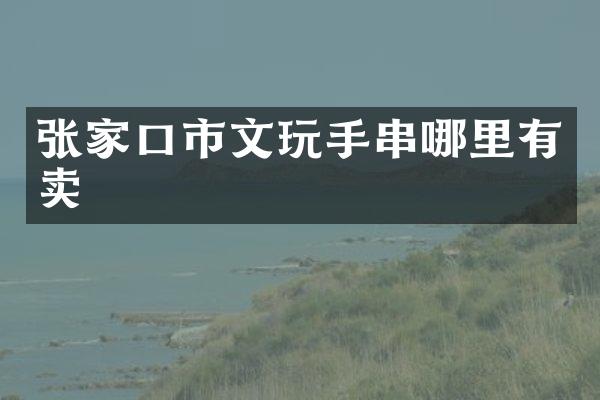 张家口市文玩手串哪里有卖
