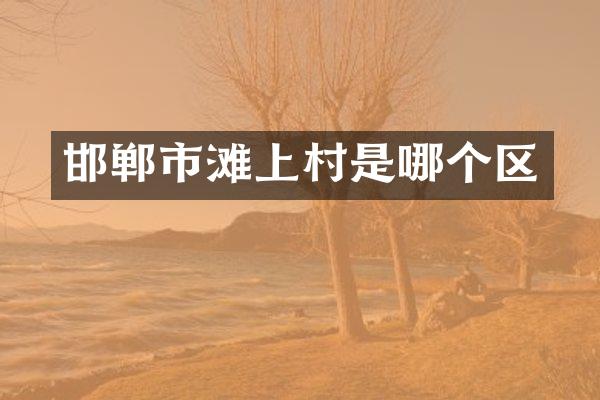 邯郸市滩上村是哪个区