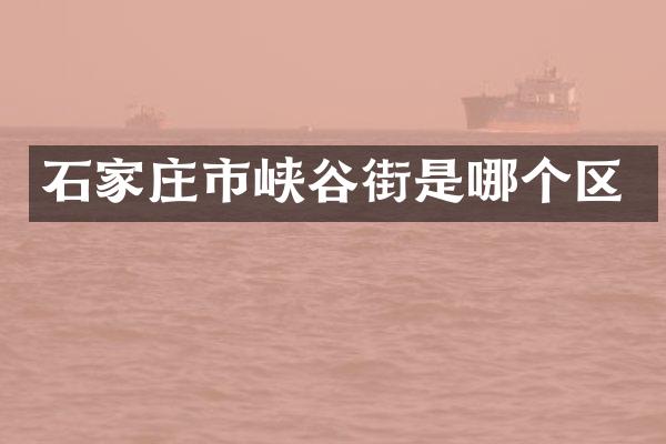 石家庄市峡谷街是哪个区