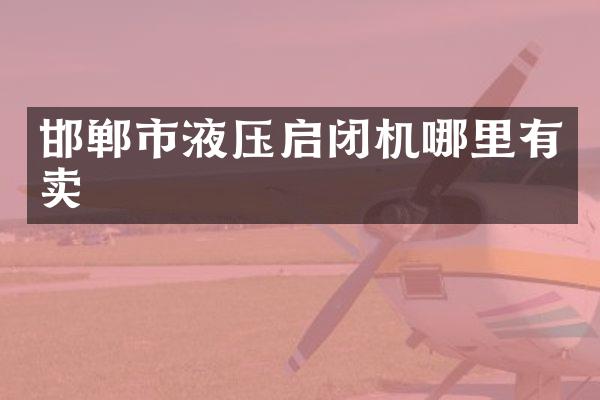 邯郸市液压启闭机哪里有卖