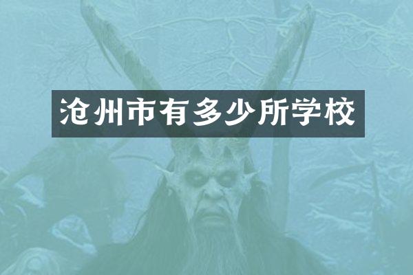 沧州市有多少所学校