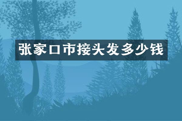 张家口市接头发多少钱