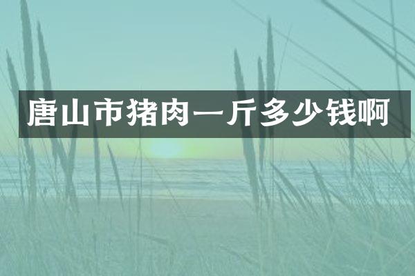 唐山市猪肉一斤多少钱啊