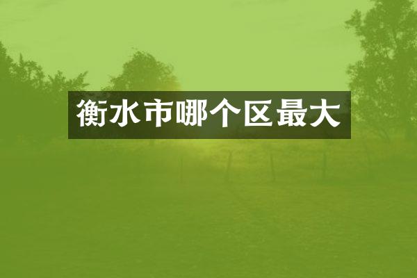 衡水市哪个区最大