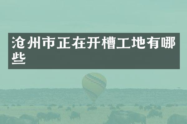 沧州市正在开槽工地有哪些