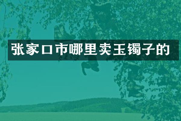 张家口市哪里卖玉镯子的