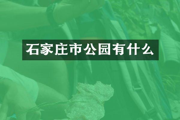 石家庄市公园有什么