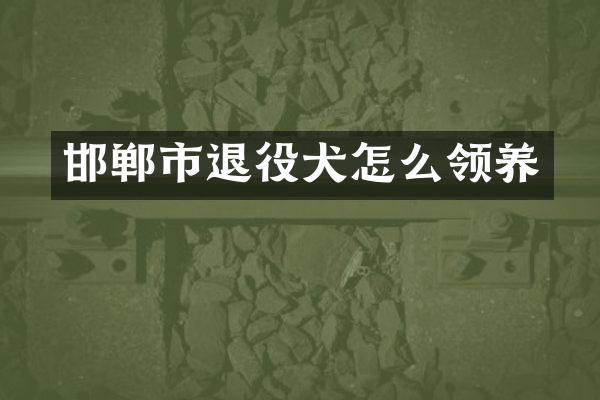 邯郸市退役犬怎么领养